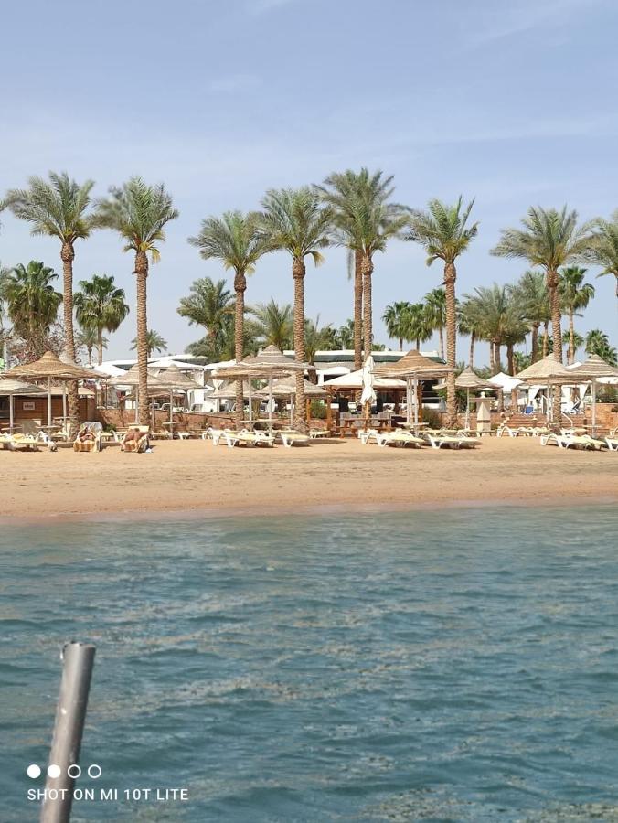 Seti Sharm Palm Beach Resort Families And Couples Only Экстерьер фото