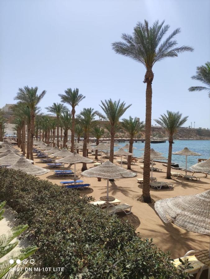 Seti Sharm Palm Beach Resort Families And Couples Only Экстерьер фото