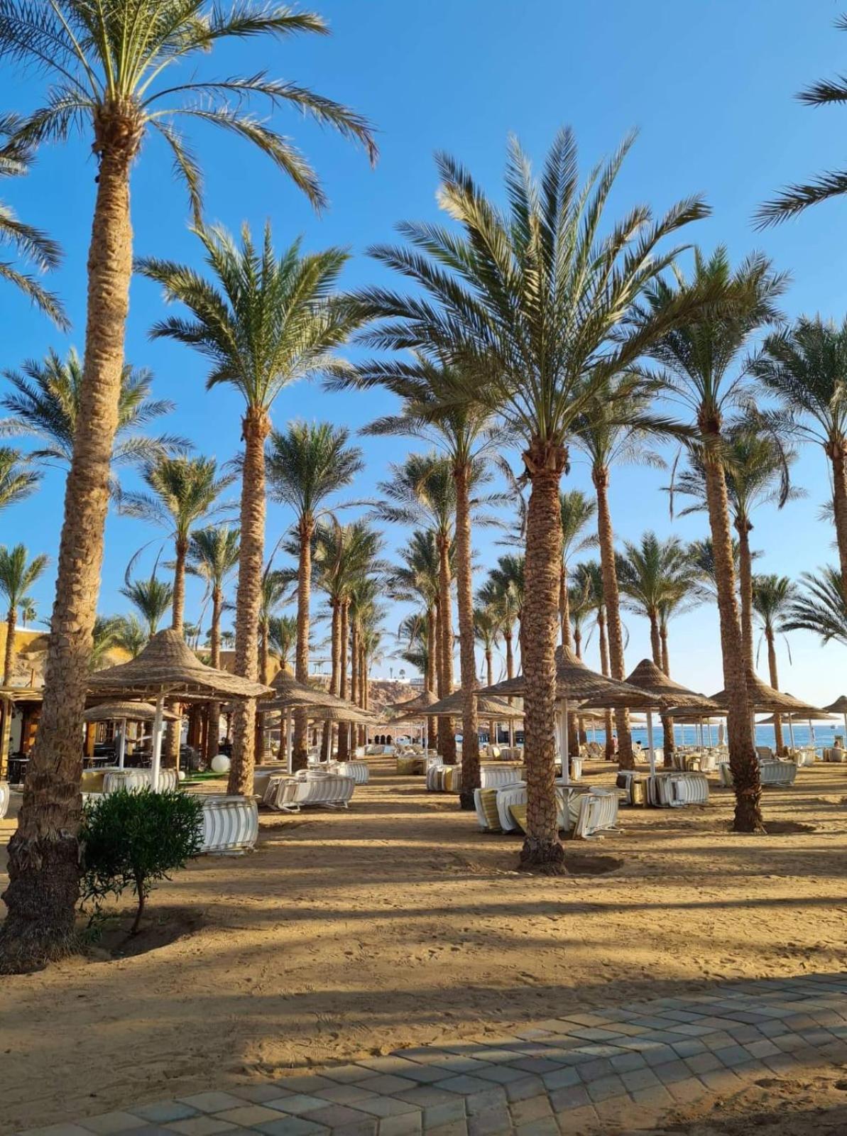 Seti Sharm Palm Beach Resort Families And Couples Only Экстерьер фото